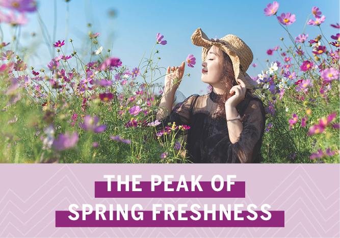 The Peak of Spring Freshness